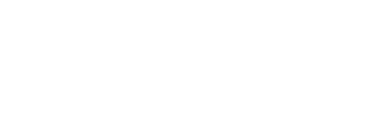 Spring Creek BBQ