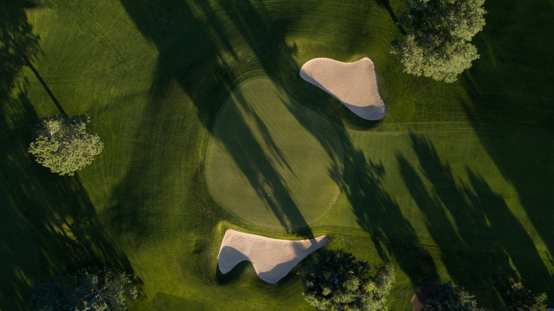 Aerial view of golf course